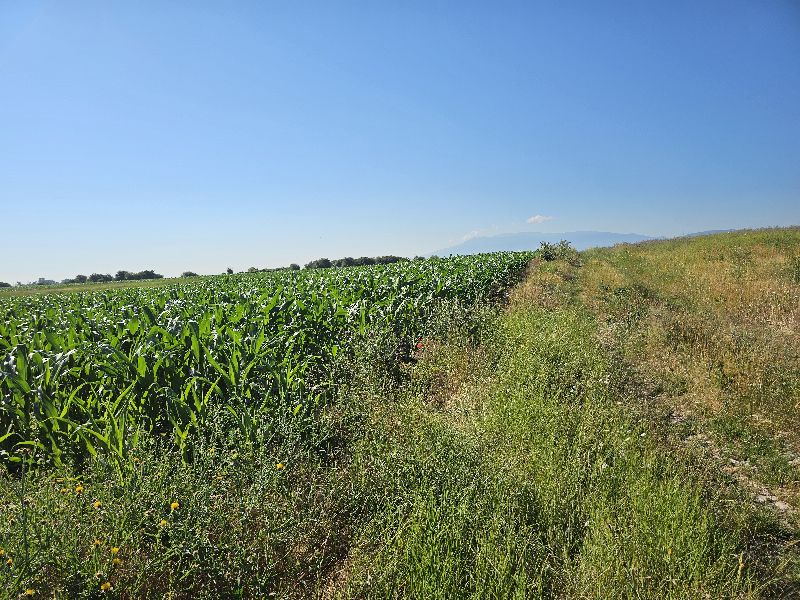 Foto 3 von 3 — Парцел