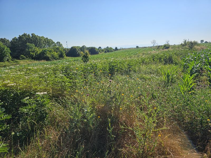 Foto 2 von 3 — Парцел