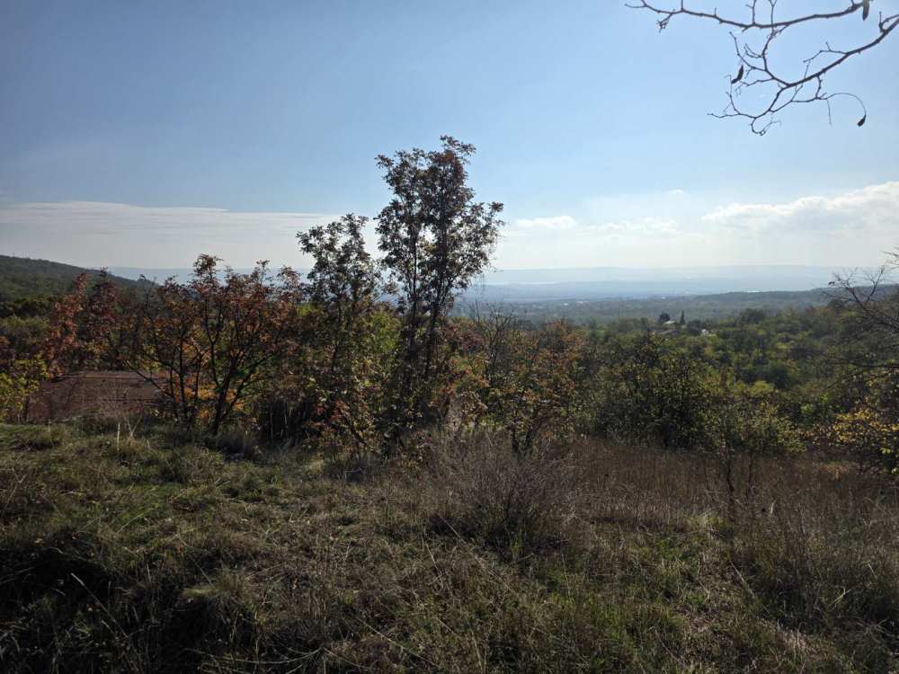 Foto 2 von 2 — Парцел