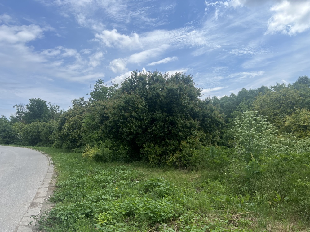 Foto 2 von 2 — Парцел