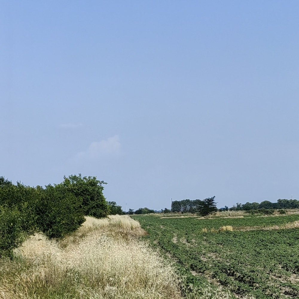Foto 4 von 5 — Земеделска земя