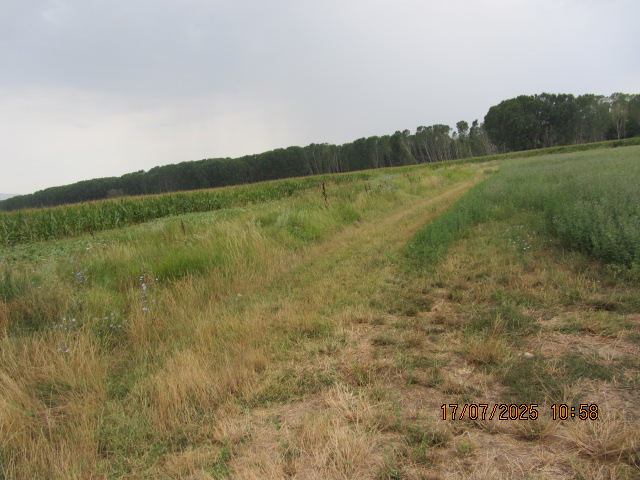 Foto 2 von 5 — Земеделски имот
