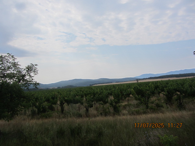 Foto 4 von 7 — Земеделски имот