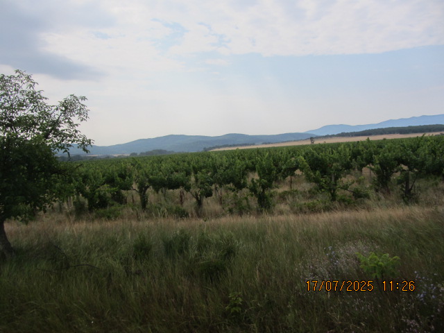 Foto 1 von 7 — Земеделски имот