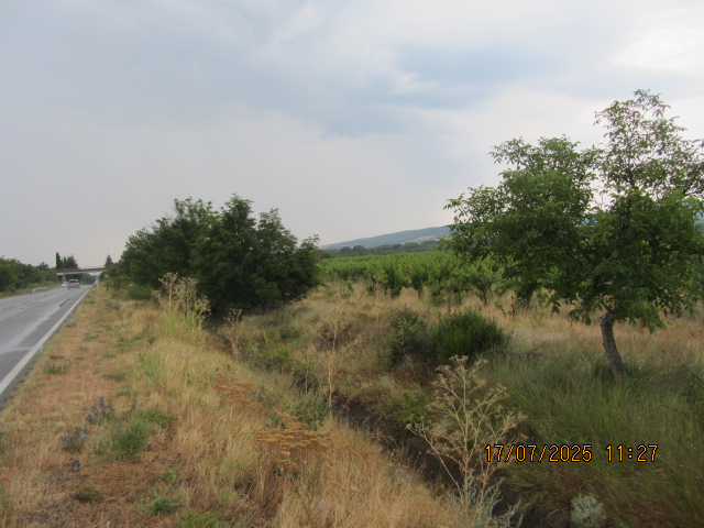 Foto 3 von 7 — Земеделски имот