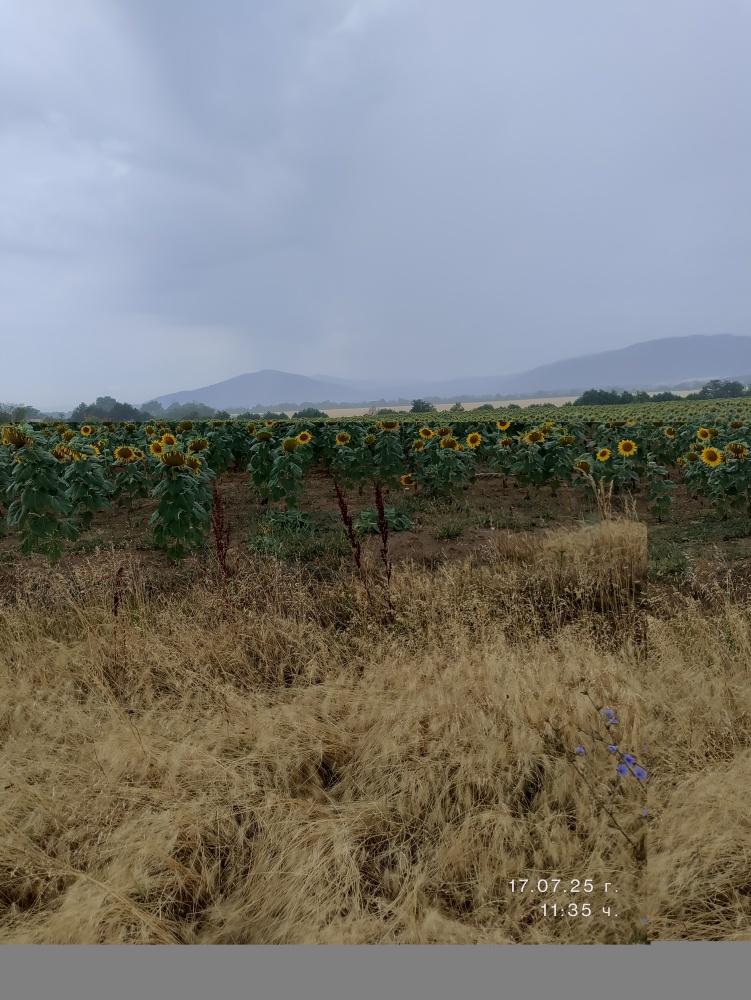 Foto 1 von 4 — Земеделски имот