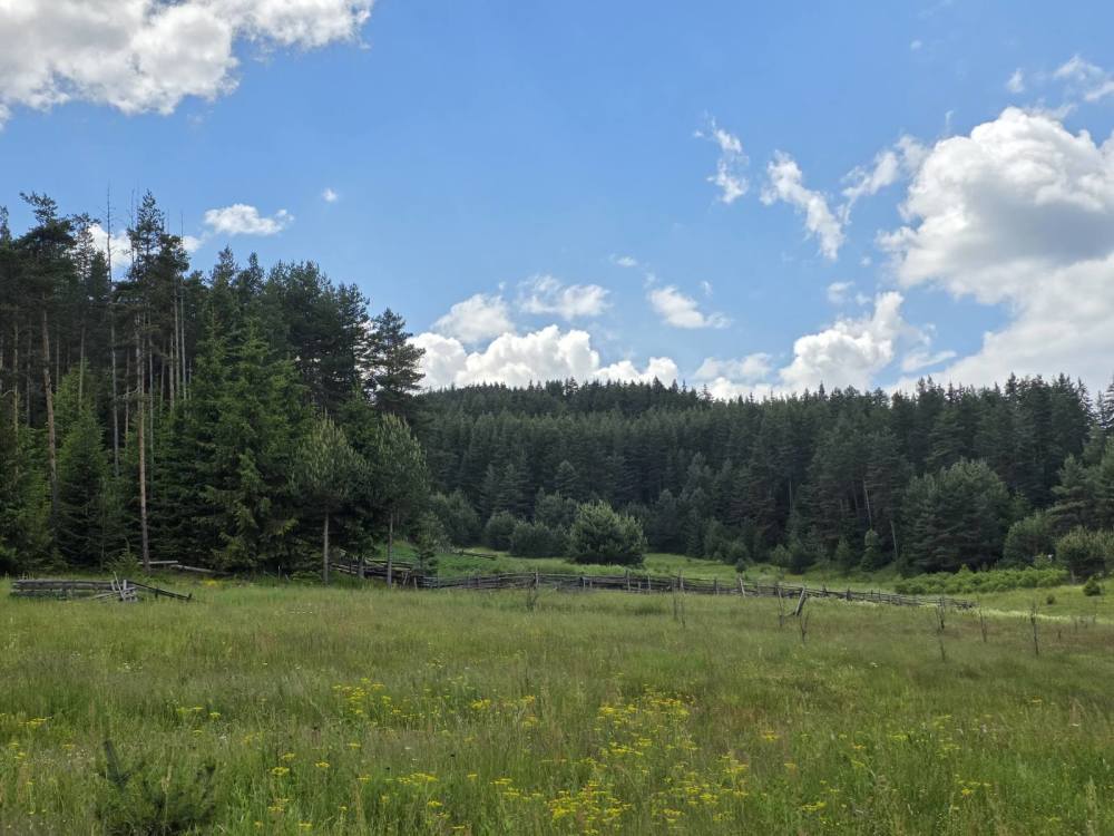 Foto 4 von 8 — Земеделска земя