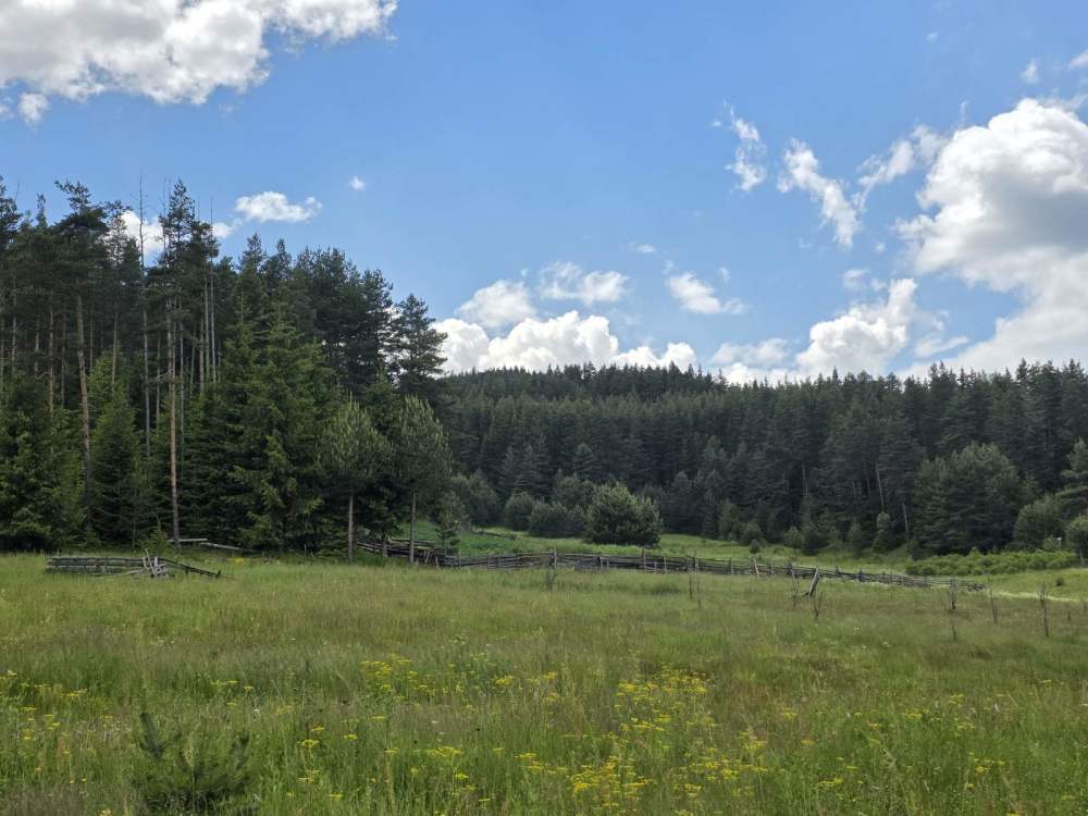Foto 3 von 8 — Земеделска земя