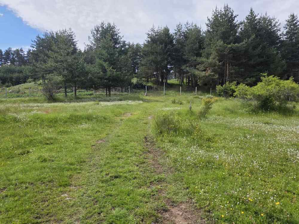 Foto 3 von 7 — Земеделска земя