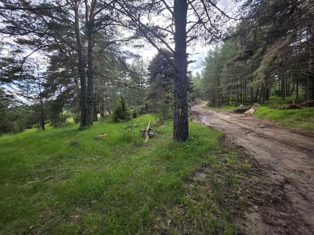 Foto 3 von 7 — Земеделска земя