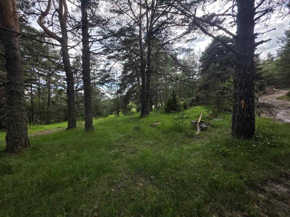 Foto 2 von 7 — Земеделска земя