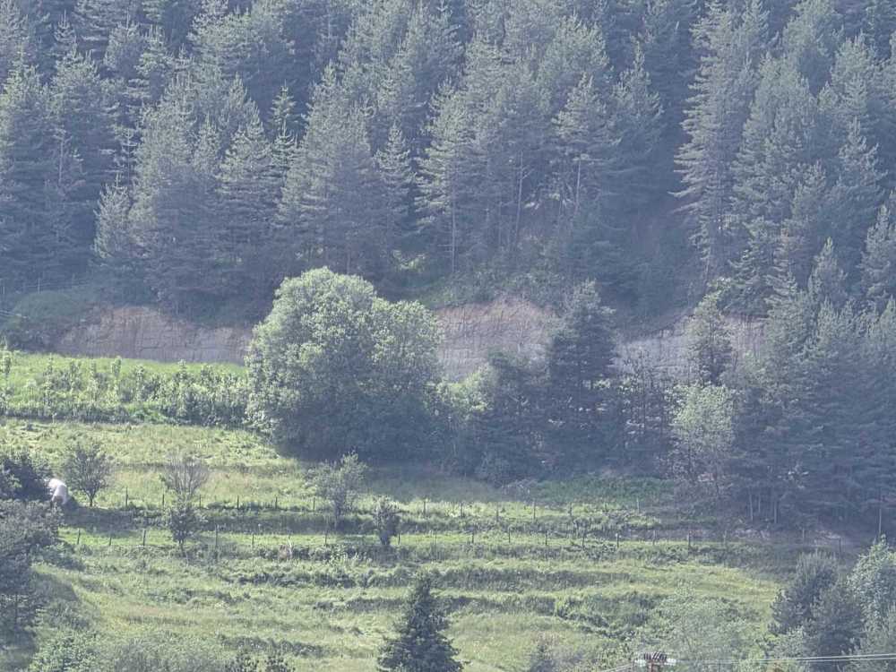 Foto 2 von 9 — Земеделска земя