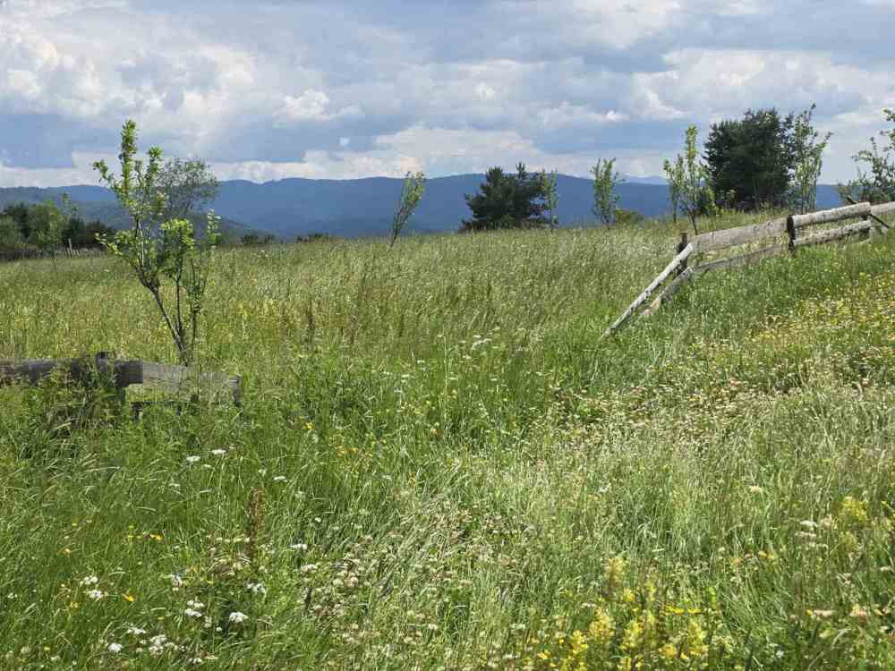 Foto 2 von 8 — Земеделска земя