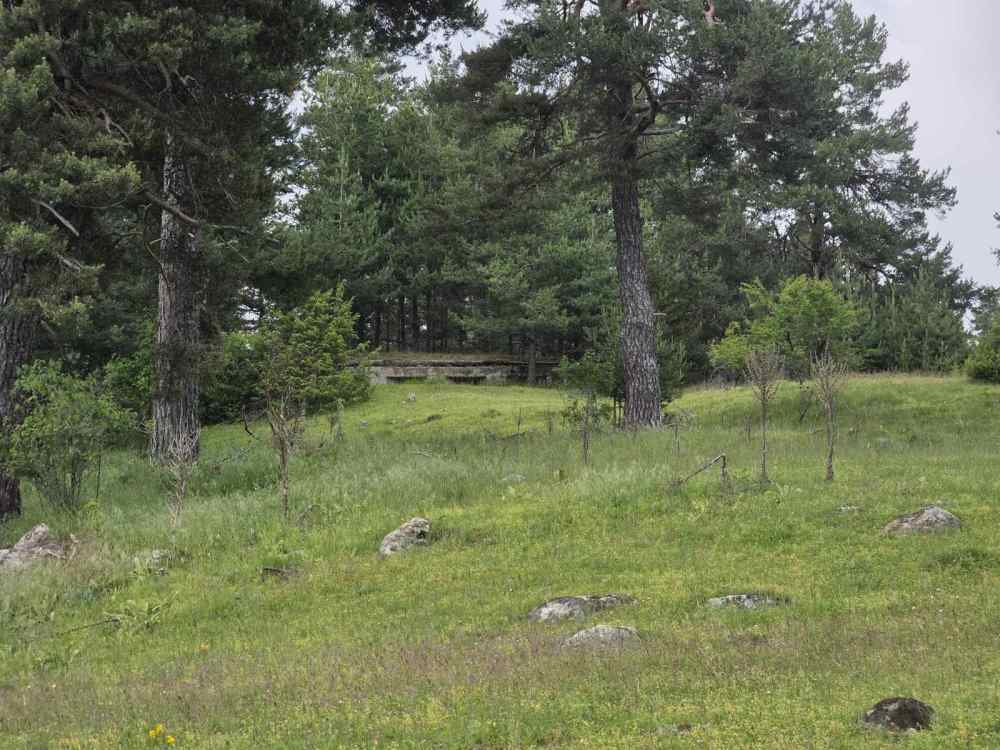 Foto 3 von 8 — Земеделска земя