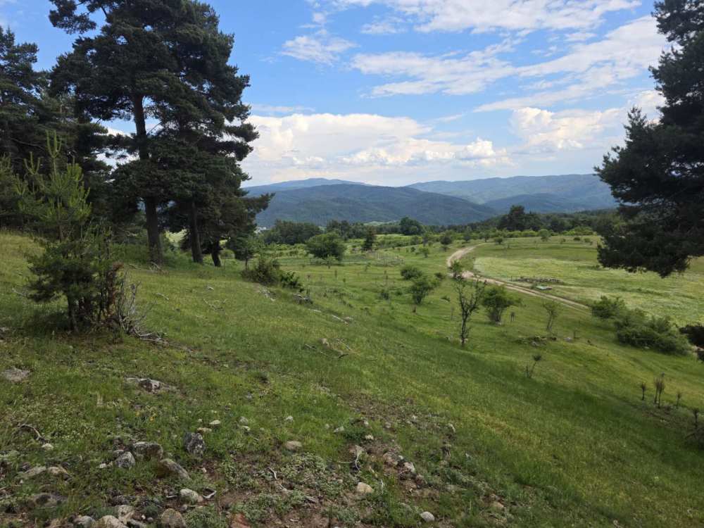 Foto 4 von 8 — Земеделска земя