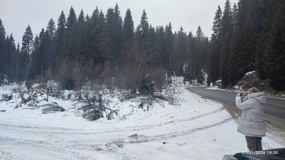 Foto 4 von 5 — Парцел