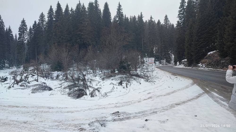 Foto 3 von 5 — Парцел