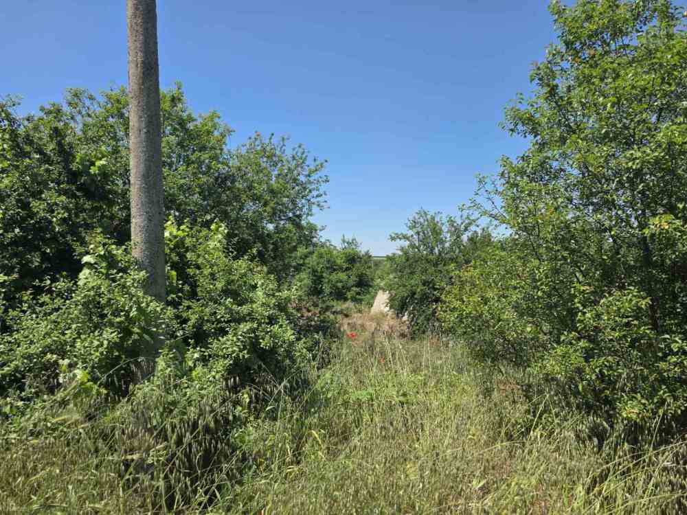 Foto 2 von 3 — Парцел