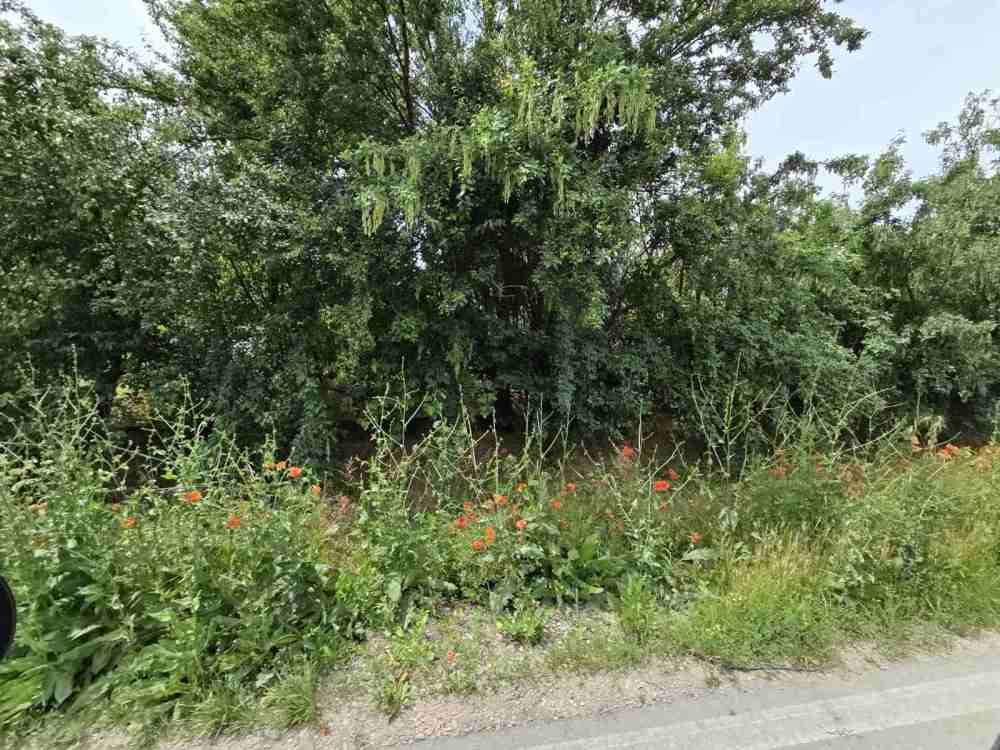 Foto 1 von 4 — Парцел