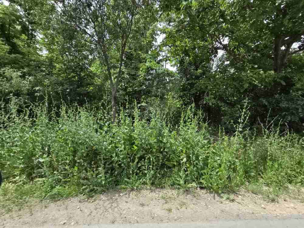 Foto 3 von 4 — Парцел