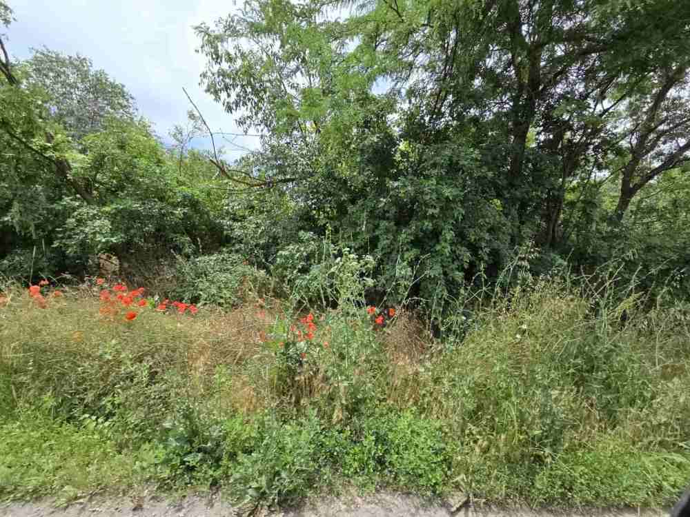 Foto 2 von 4 — Парцел
