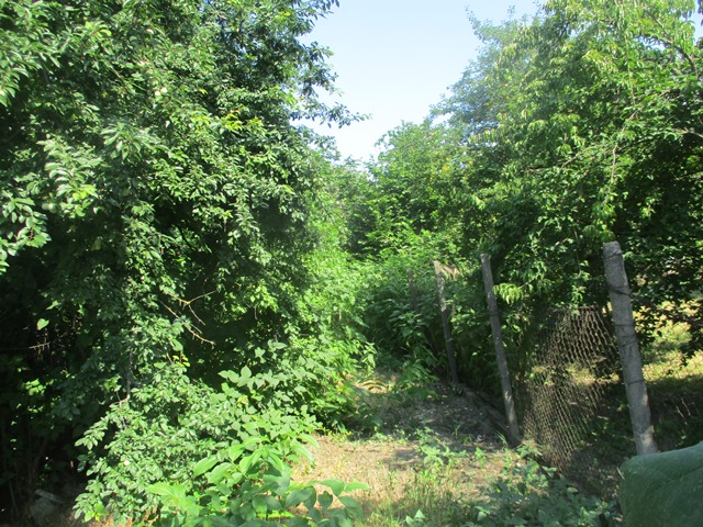 Foto 2 von 6 — Парцел