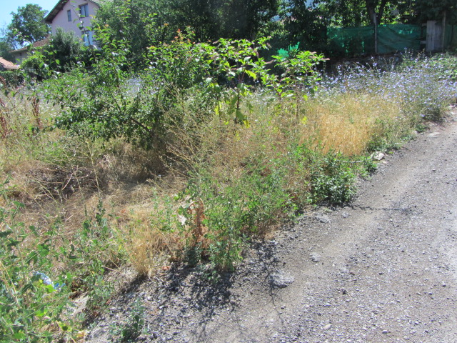 Foto 6 von 7 — Парцел