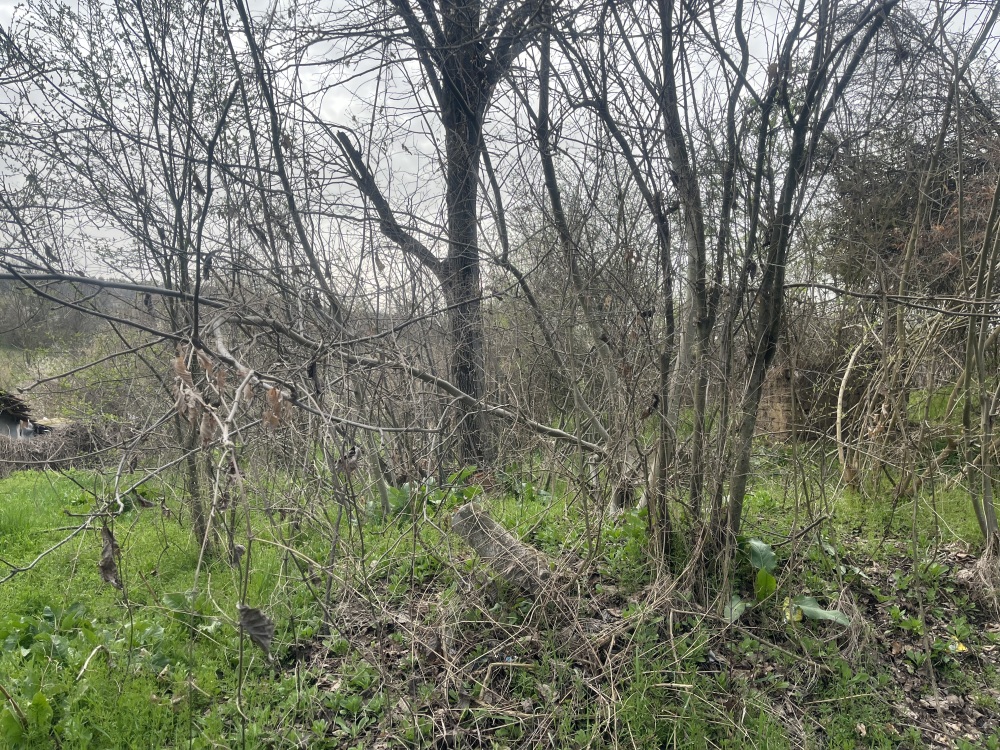 Foto 2 von 2 — Парцел