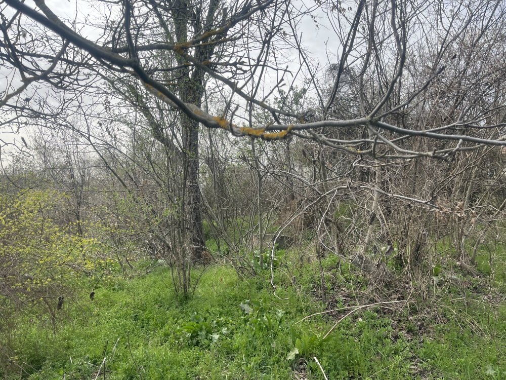 Foto 1 von 2 — Парцел