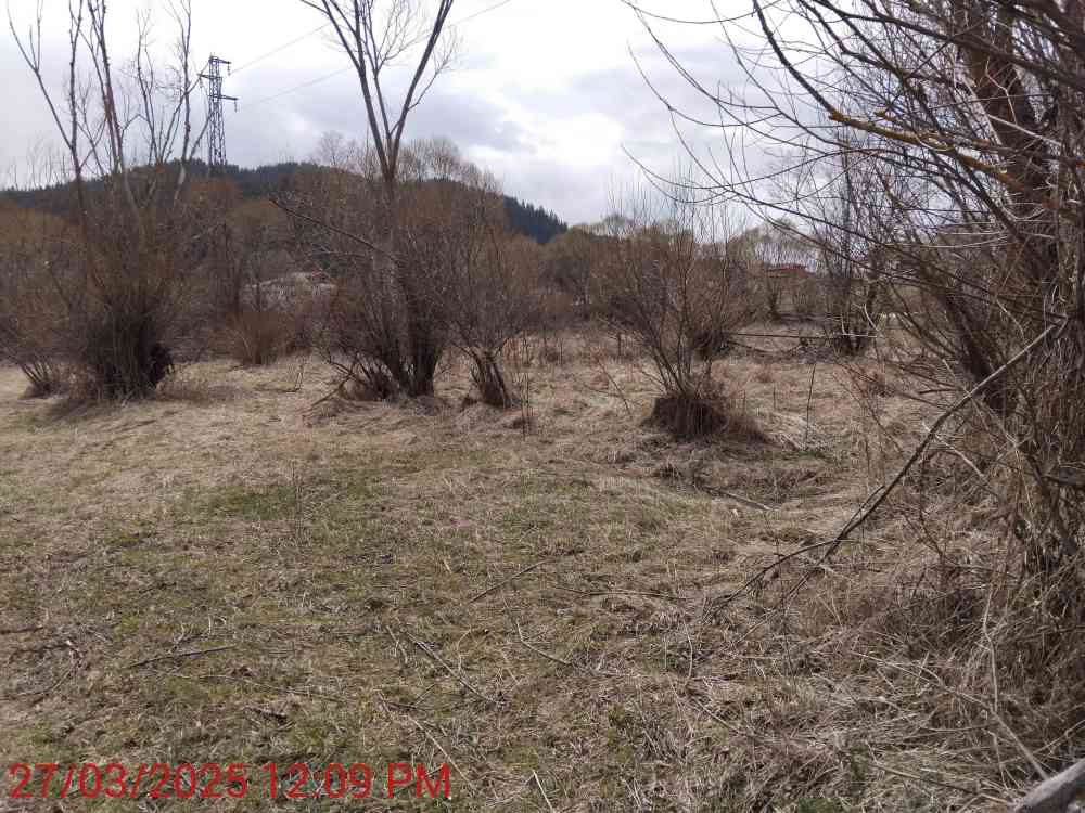 Foto 4 von 5 — Земеделски имот
