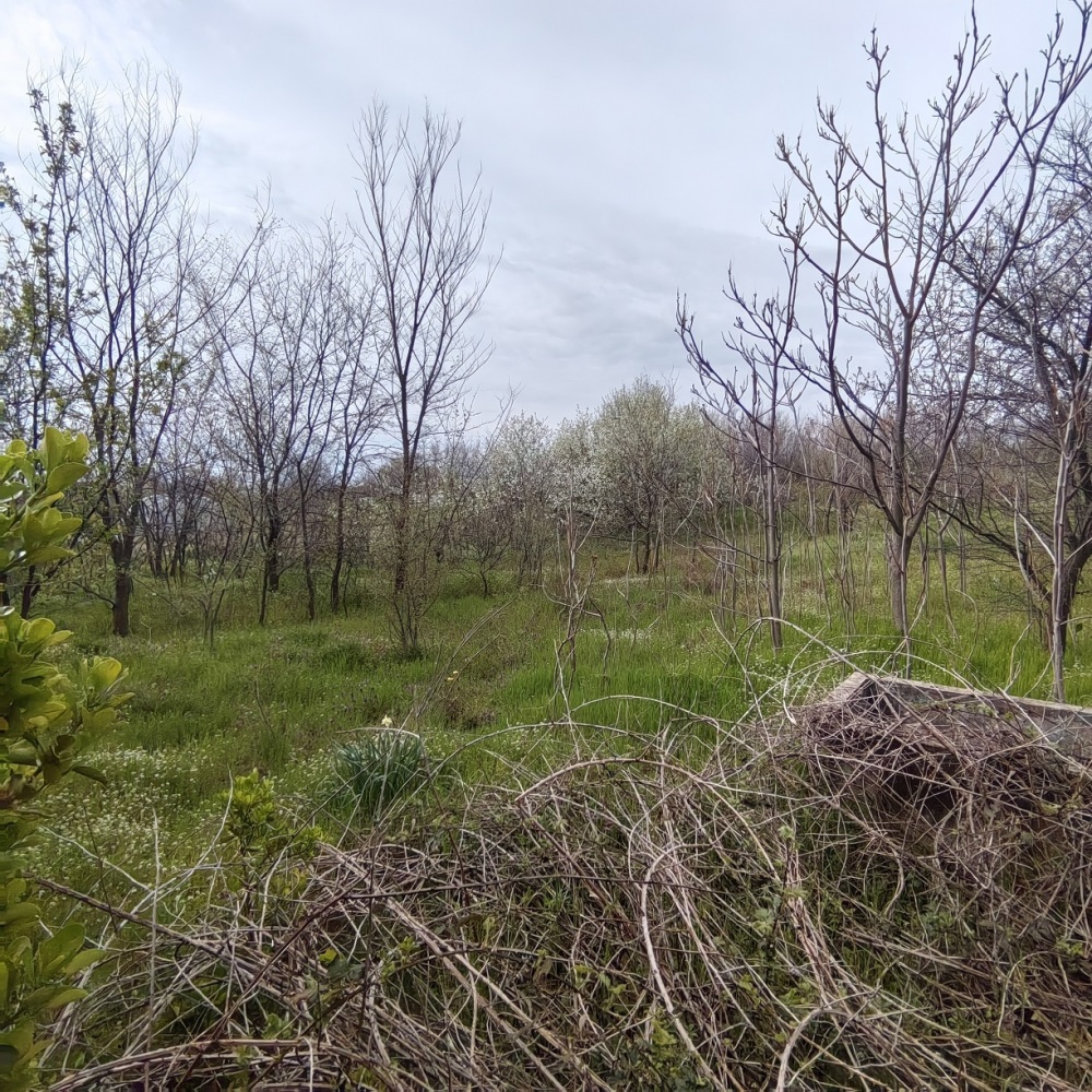 Foto 4 von 7 — Къща с парцел