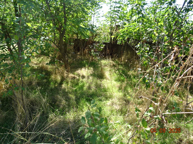 Foto 2 von 6 — Парцел с къща