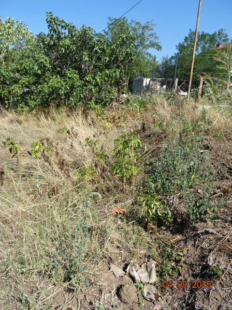 Foto 3 von 6 — Парцел с къща