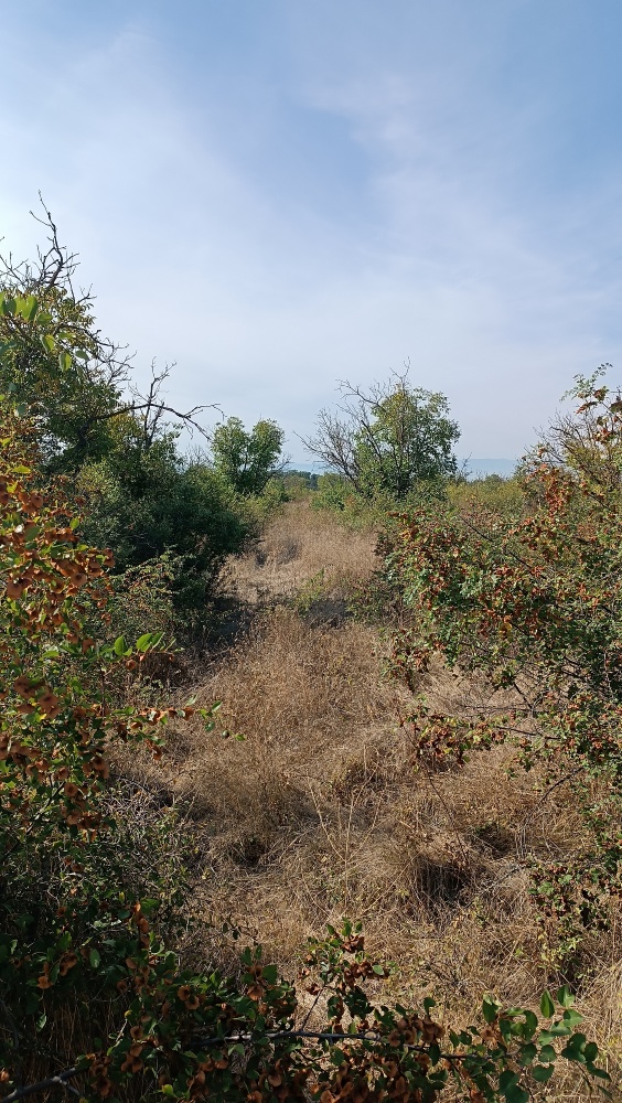 Foto 1 von 3 — Земеделска земя