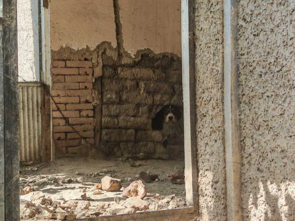 Foto 7 von 12 — Жилищна сграда