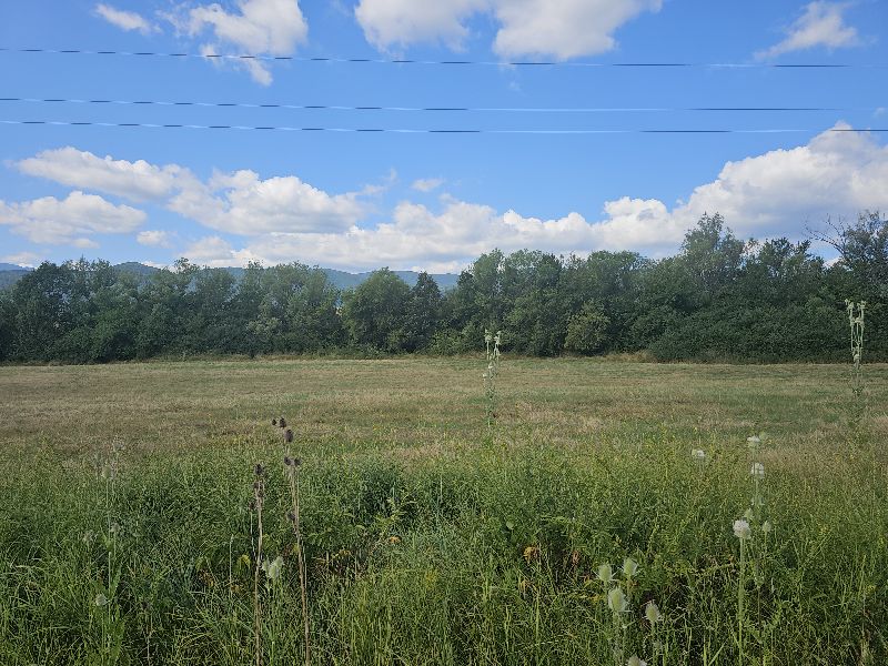 Foto 6 von 7 — Земеделска земя