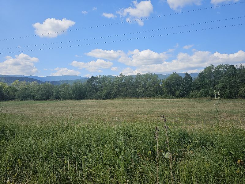 Foto 3 von 7 — Земеделска земя