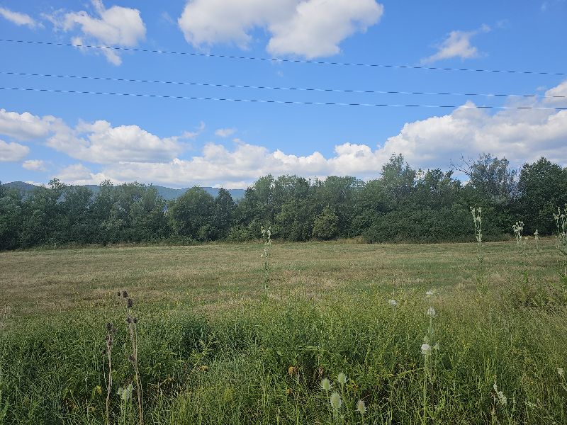 Foto 5 von 7 — Земеделска земя