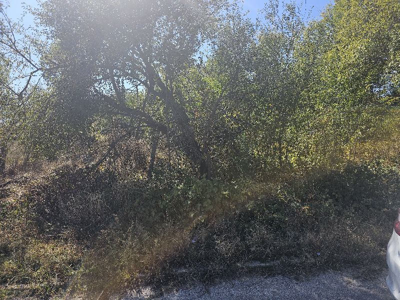 Foto 2 von 5 — Земеделска земя
