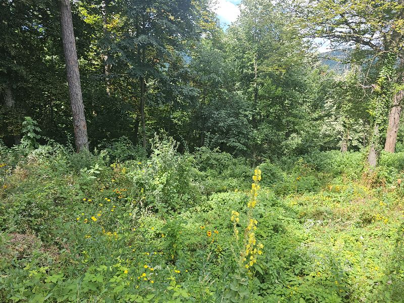 Foto 4 von 11 — Парцел