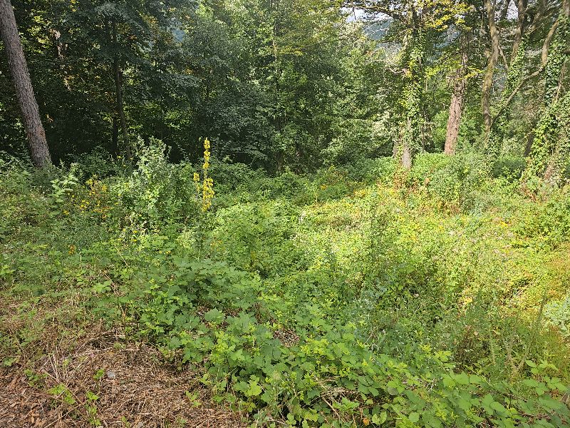 Foto 9 von 11 — Парцел