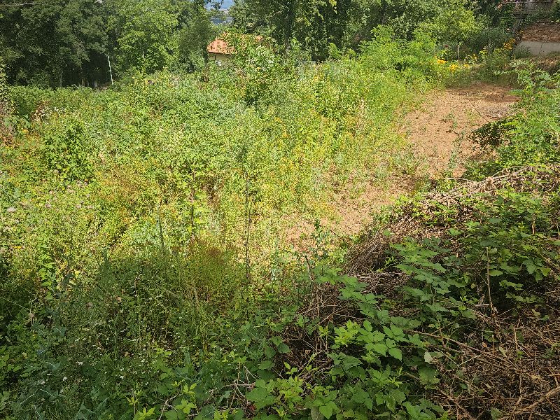 Foto 6 von 11 — Парцел