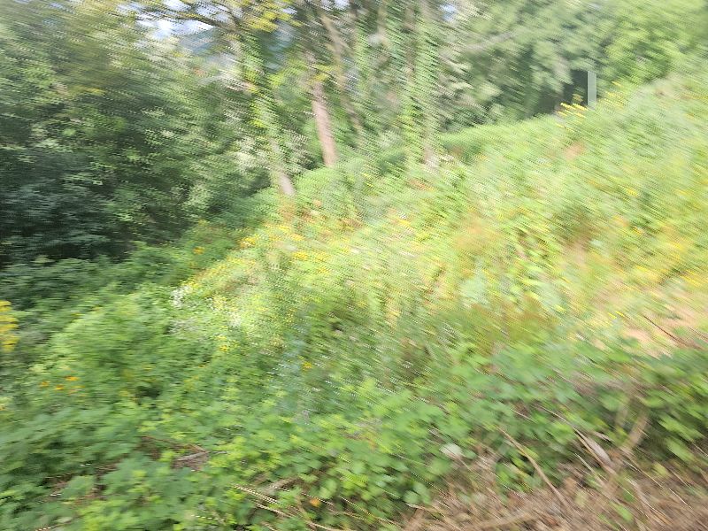 Foto 10 von 11 — Парцел