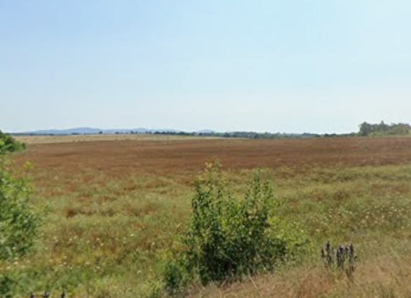 Foto 1 von 2 — Земеделска земя