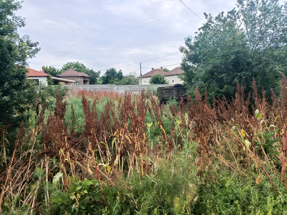 Foto 2 von 5 — Парцел