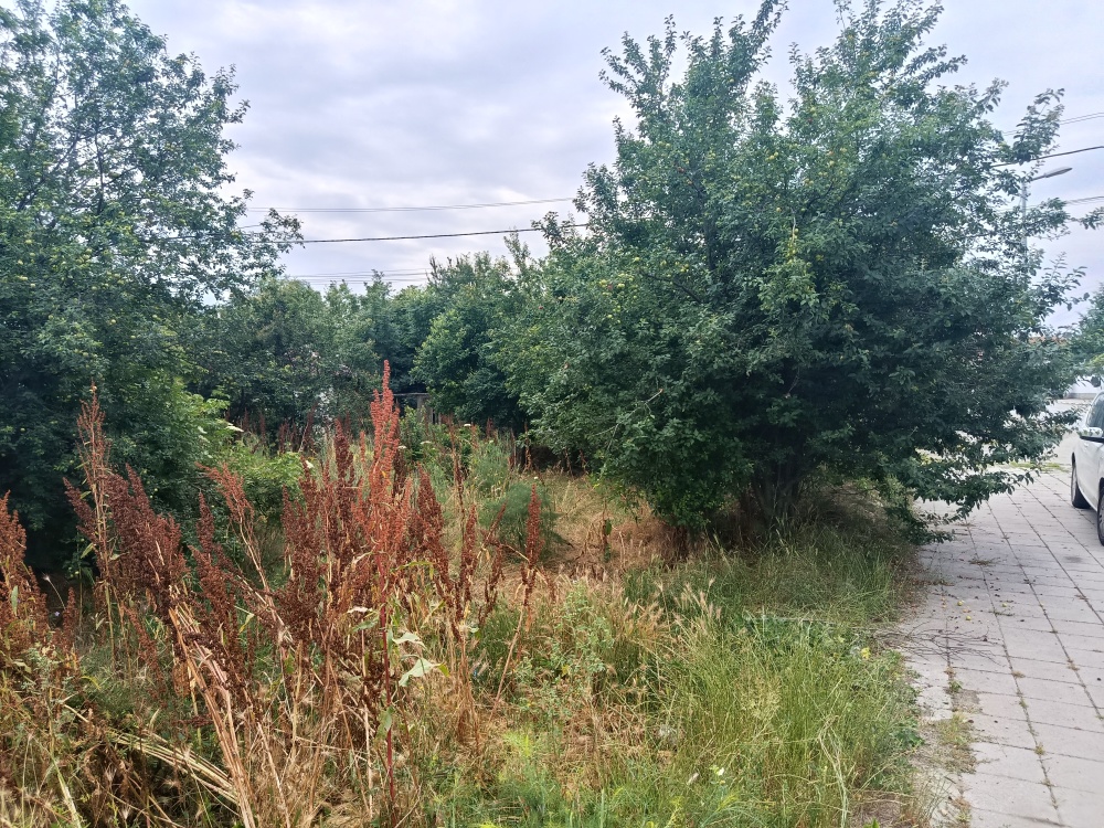 Foto 3 von 5 — Парцел