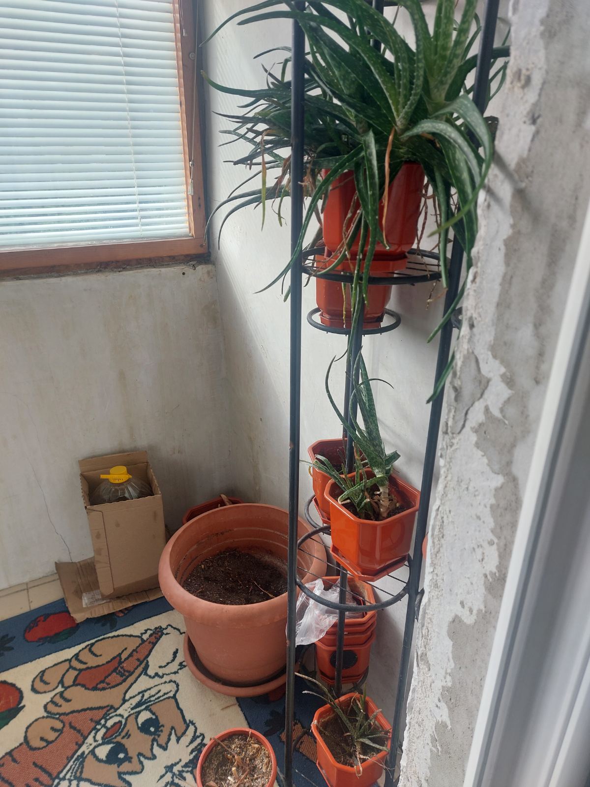 Foto 8 von 15 — Двустаен апартамент