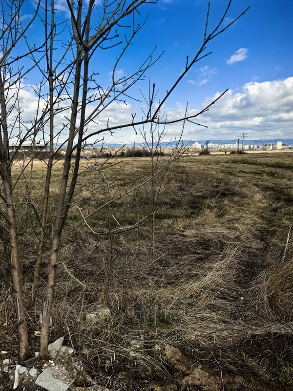 Foto 2 von 5 — Земеделска земя