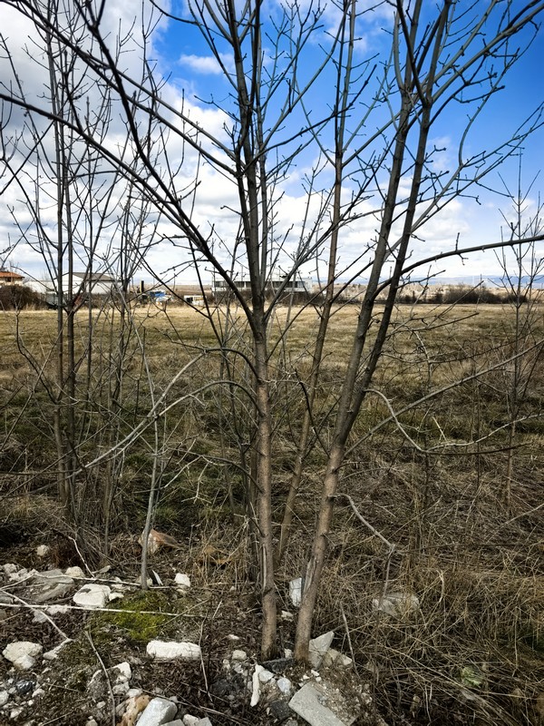 Foto 3 von 5 — Земеделска земя