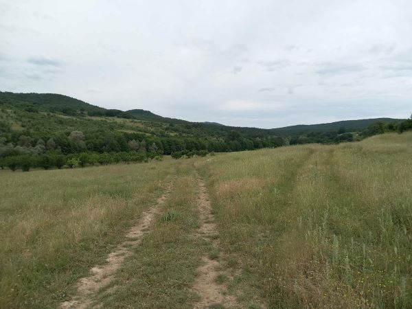Foto 2 von 3 — Земеделска земя